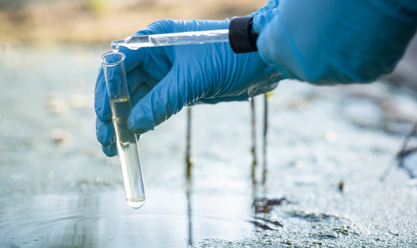 A scientist takes samples of dirty water from a pond into a test tube.
