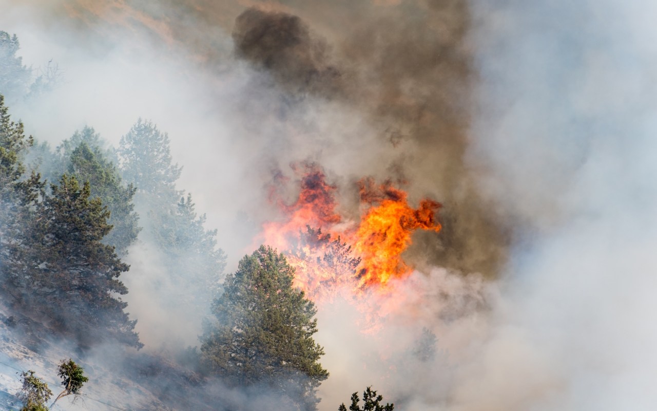 A wildfire flames up amidst smoke and charred trees on a hillside.
