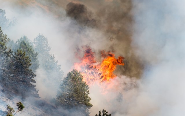 A wildfire flames up amidst smoke and charred trees on a hillside.