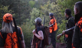 A group of hunters in camouflage and orange gear stands in a forest, armed with rifles and looking toward the trees.