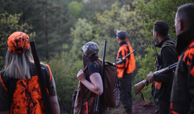 A group of hunters in camouflage and orange gear stands in a forest, armed with rifles and looking toward the trees.