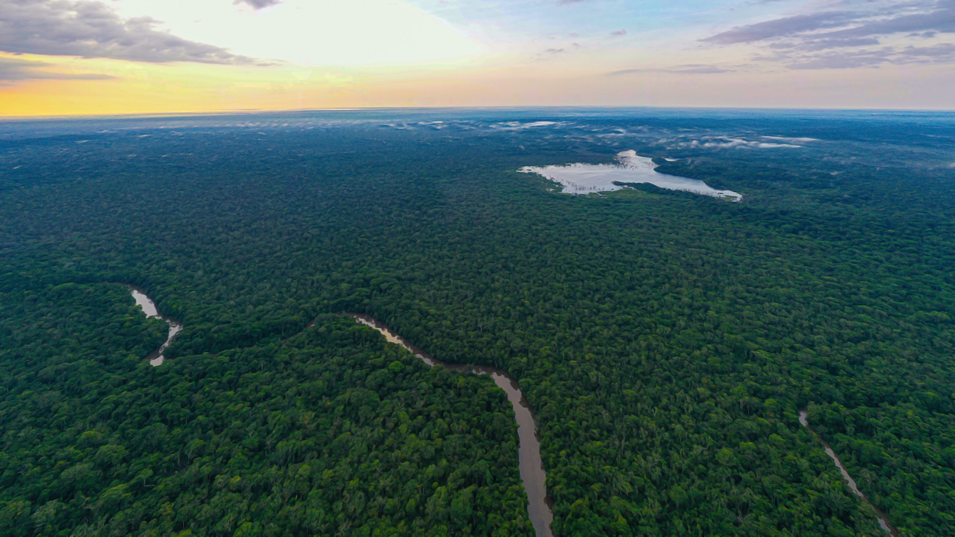 Brazil's Amazon sees 8-year deforestation low as scientists warn fires and illegal logging still threaten rainforest