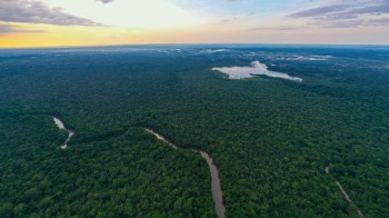 Aerial view of dense forest with winding rivers and a large body of water under a colorful sky at sunset.