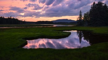 A serene wetland at sunset, reflecting colorful clouds and surrounded by trees and distant mountains.