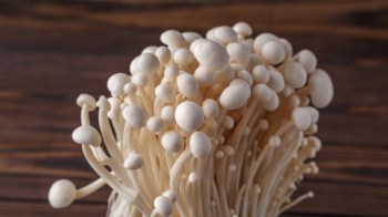 A close-up of delicate white enoki mushrooms on a wooden surface.