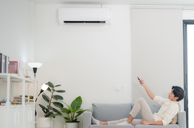 A person relaxing on a couch, using a remote control with a mini-split unit on a wall and houseplants in the background.