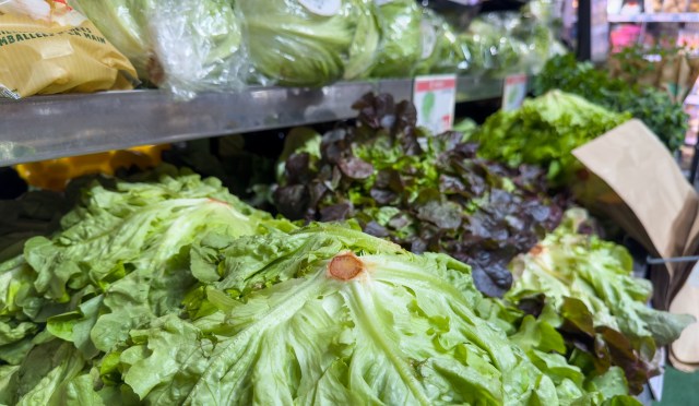 Leafy greens at grocery store.