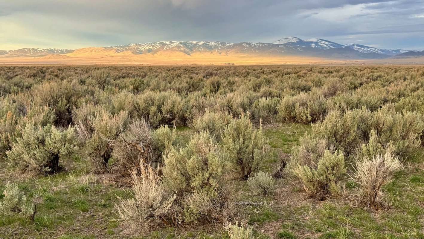 A expansive landscape of sagebrush with distant snow-capped mountains under a cloudy sky.