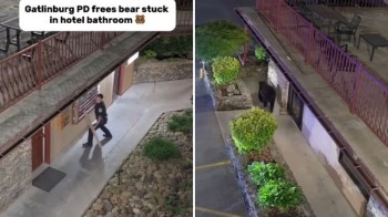 A police officer freeing a bear from a bathroom.