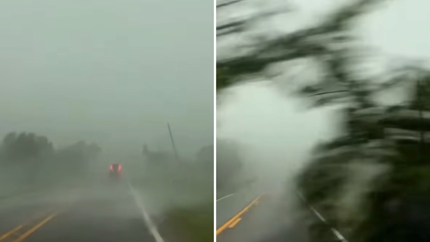 A heavy rainstorm obscures a winding road with blurred visibility and looming trees.