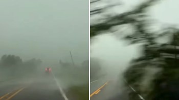 A heavy rainstorm obscures a winding road with blurred visibility and looming trees.