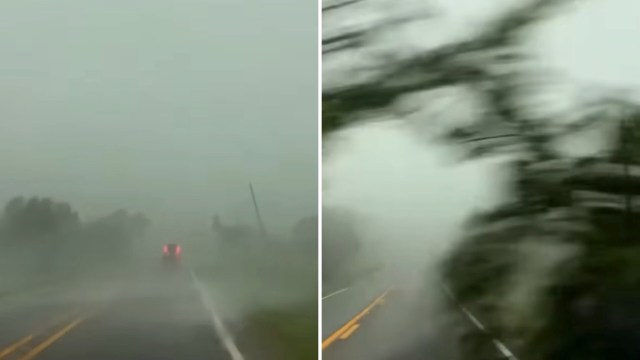 A heavy rainstorm obscures a winding road with blurred visibility and looming trees.
