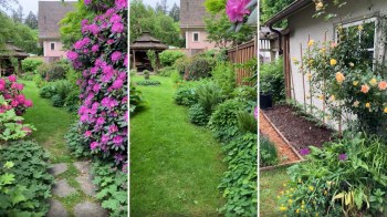 A vibrant garden path lined with colorful flowers, leading to various plants and a gazebo in the background.