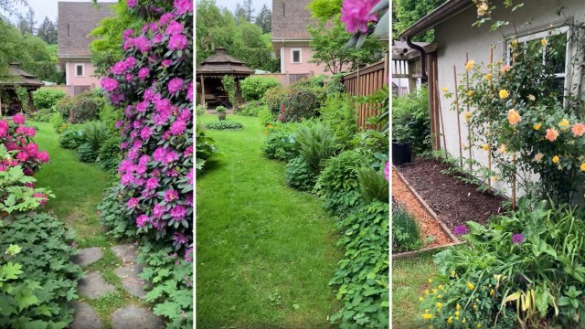 A vibrant garden path lined with colorful flowers, leading to various plants and a gazebo in the background.