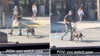 A man walks a gray dog on a leash outside a store, while a woman with long red hair walks away in the background.