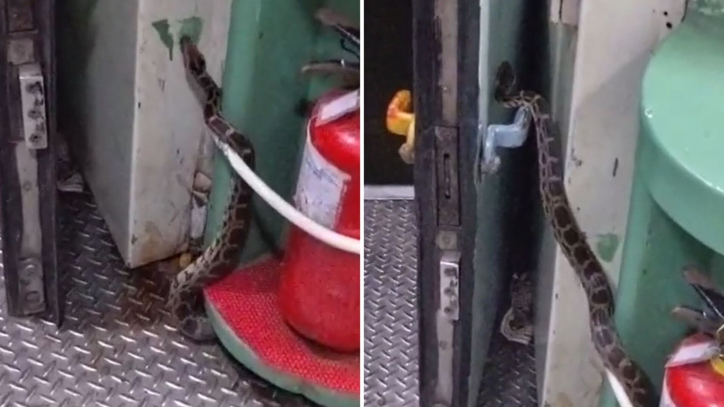 A snake is slithering along a wall near a fire extinguisher and a door handle in a industrial setting.