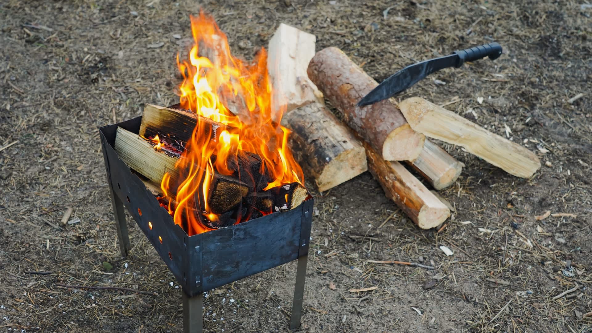Michigan campers warned to leave untreated firewood at home as 140 invasive pests hitch a ride