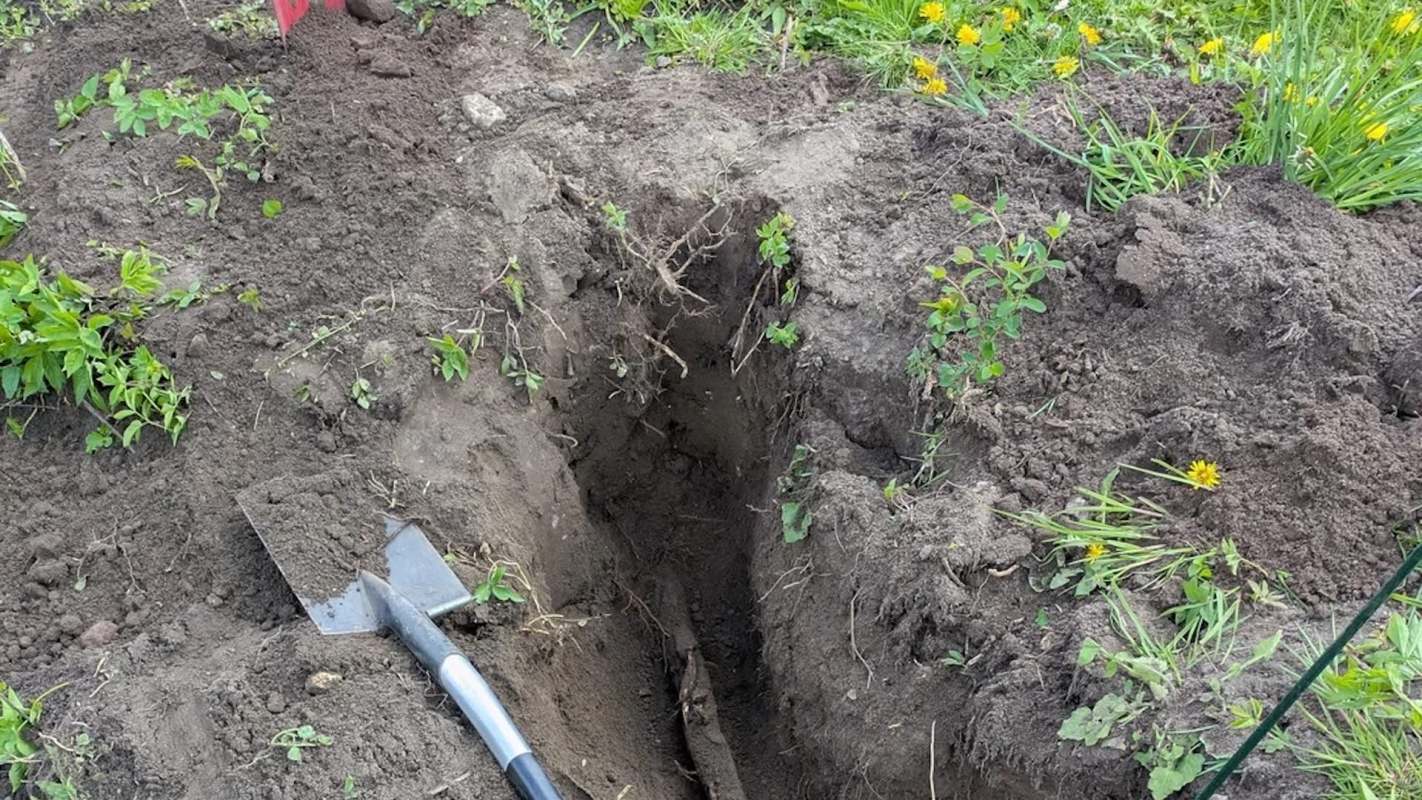A dug trench in soil.