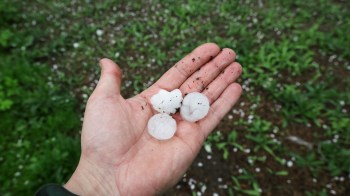 A hand holds three pieces of hail, surrounded by green grass and scattered hailstones on the ground.