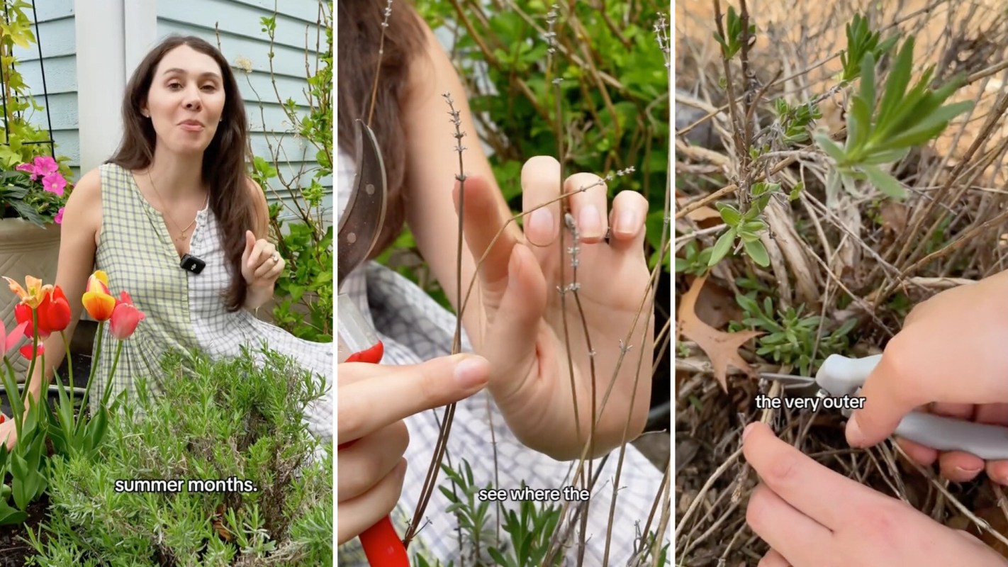 A woman demonstrates how to prune plants while surrounded by colorful flowers.