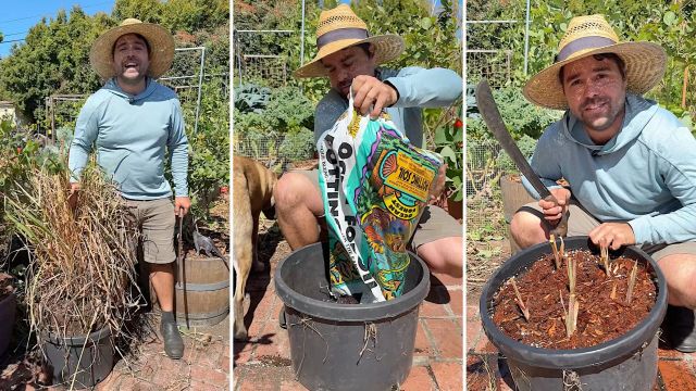 A man in a straw hat tends to plants in a garden, showing soil and tools while surrounded by greenery.