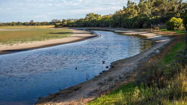 A wide river with grassy banks and trees.