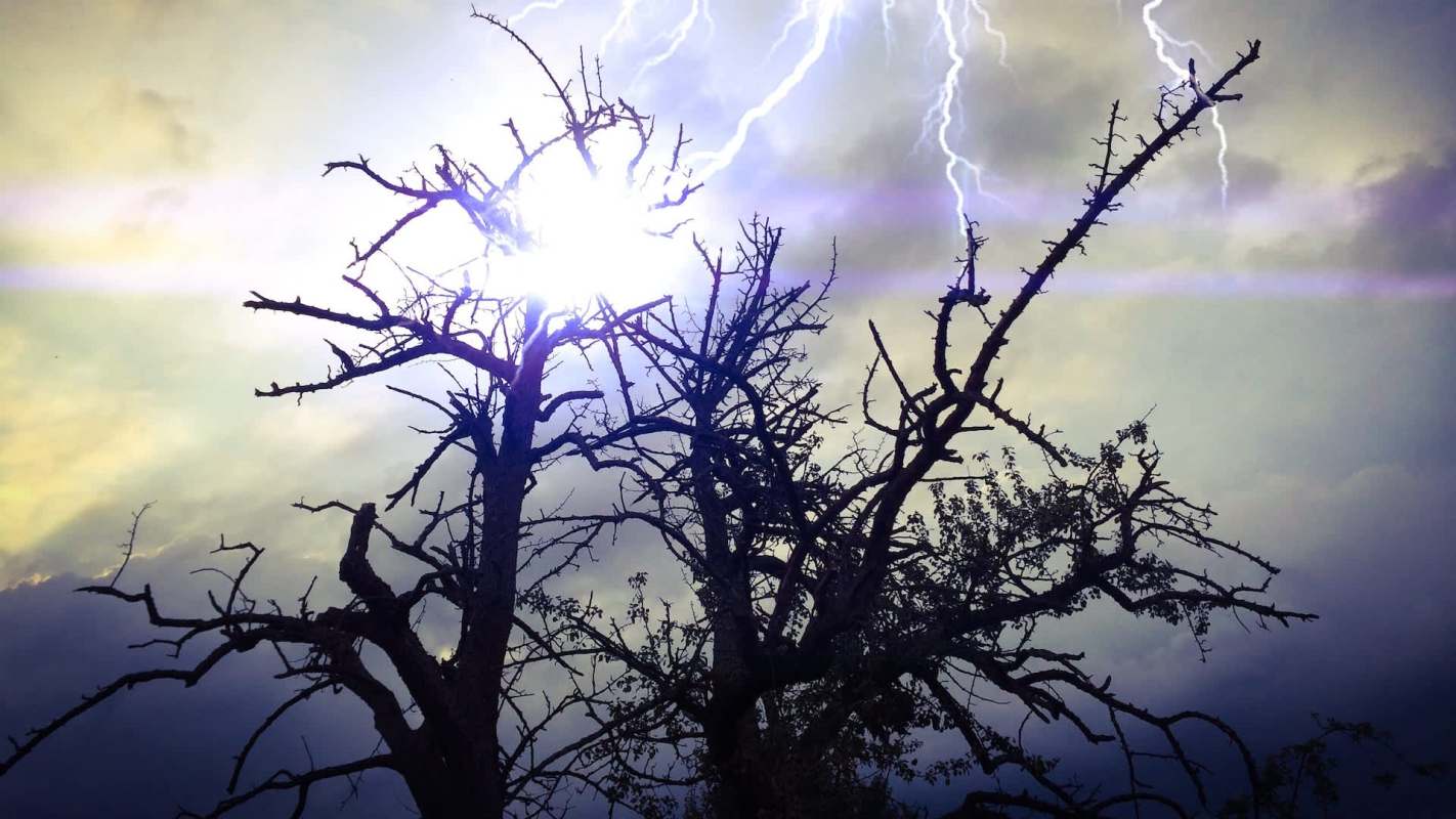 A dramatic scene of bare trees silhouetted against a stormy sky with visible lightning.
