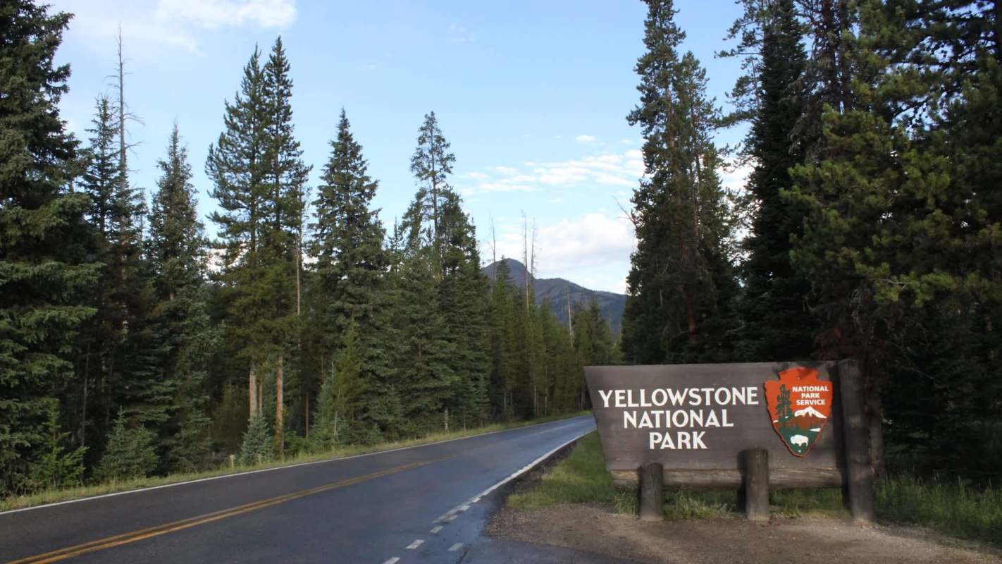 A wooden sign for Yellowstone National Park stands by a tree-lined road under a blue sky.