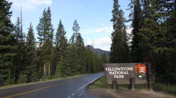 A wooden sign for Yellowstone National Park stands by a tree-lined road under a blue sky.
