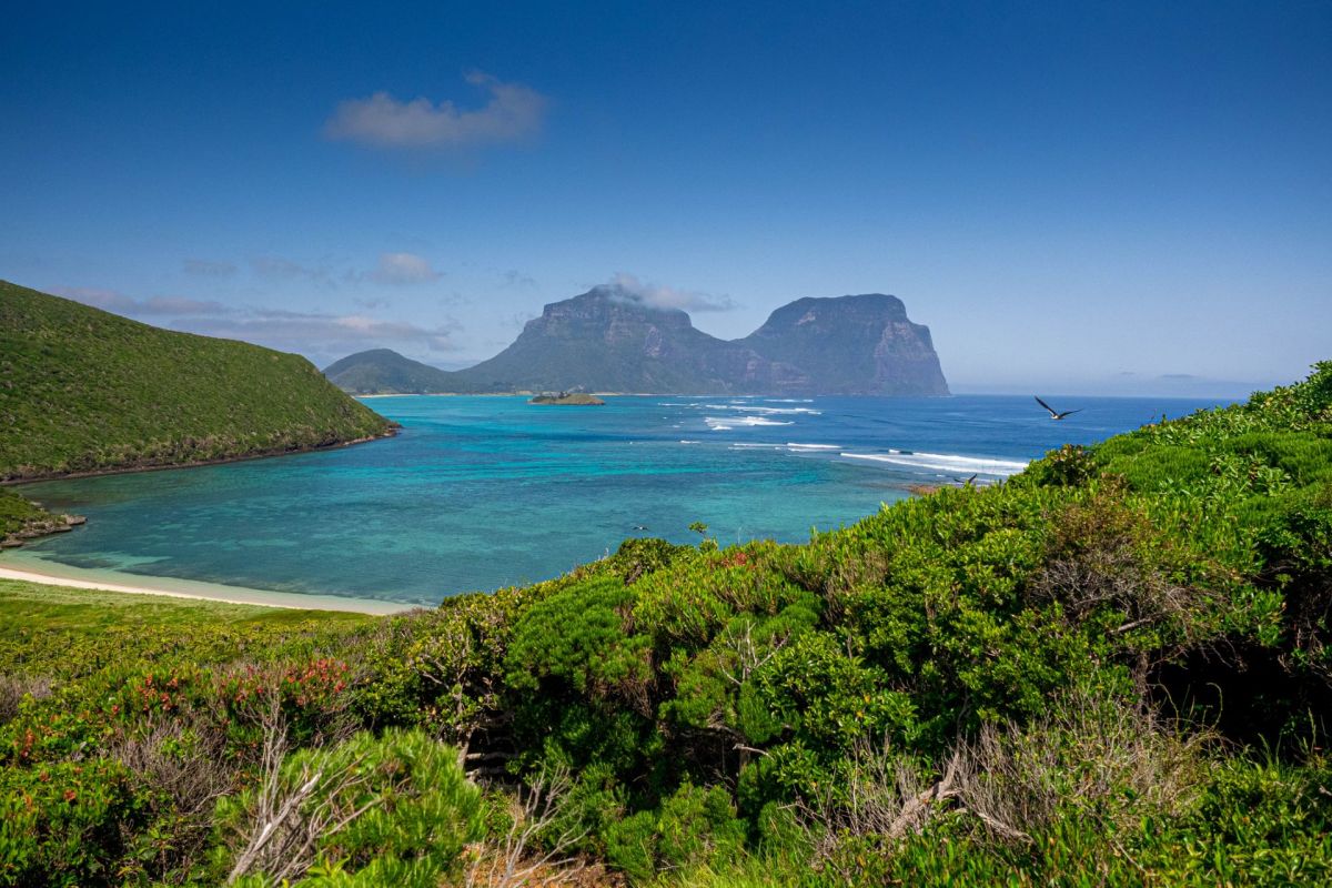 Lord Howe Island forest and beach.