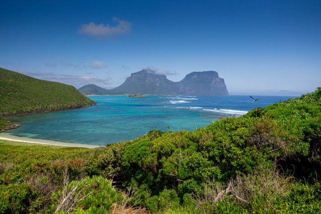 Lord Howe Island forest and beach.