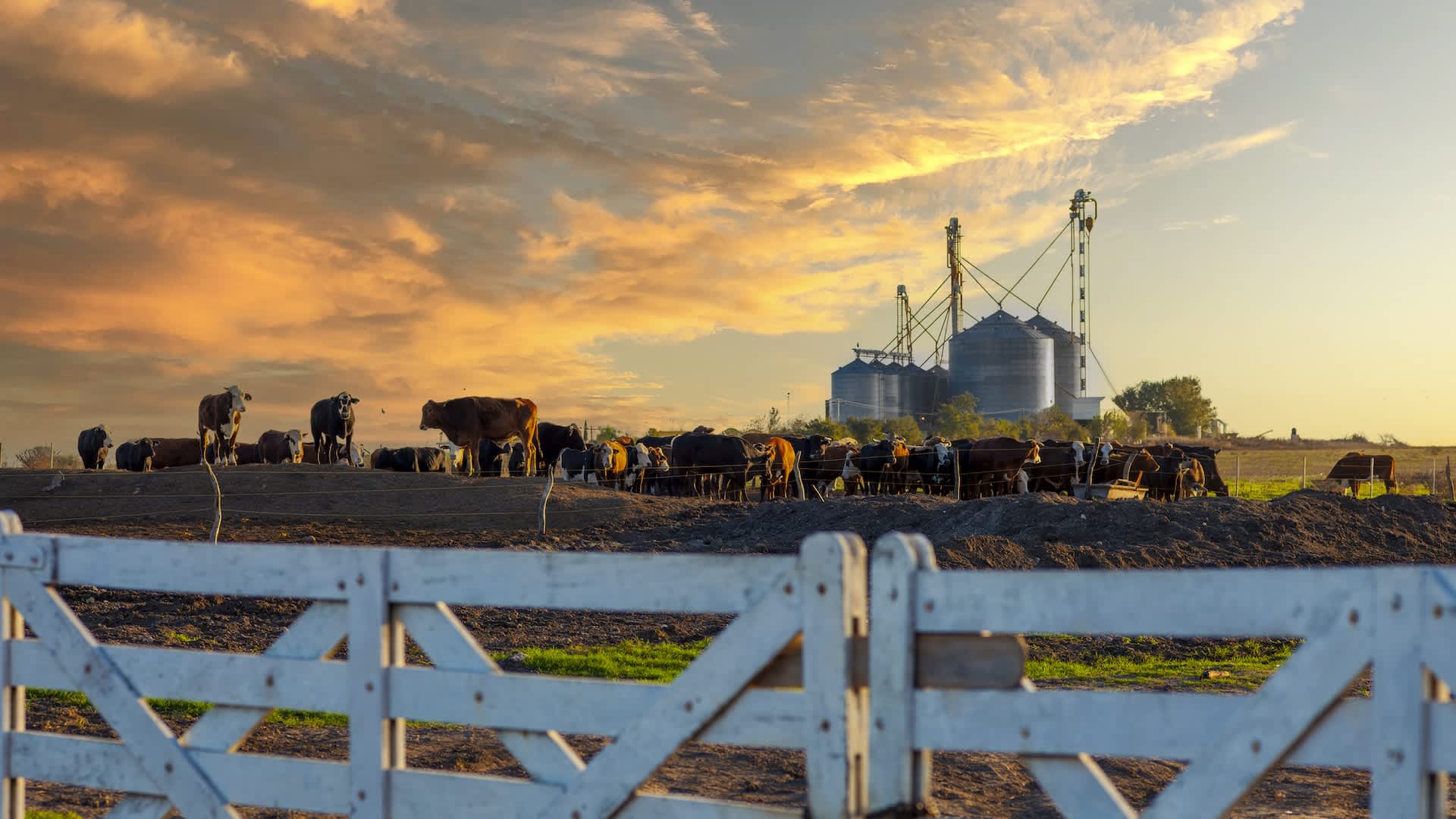 Agriculture companies are making big promises they aren't keeping, investigation reveals