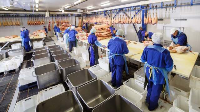 Workers in blue uniforms process meat in a large facility, with hanging carcasses and containers for storage.
