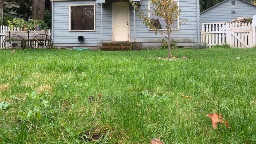 A small house with a light blue exterior, a grassy yard, and a decorative tree near a white picket fence.