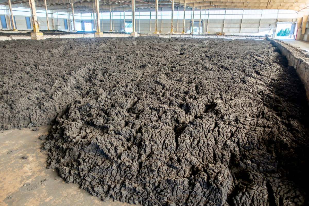 A large area of dark, uneven, dried sludge in a spacious indoor facility.