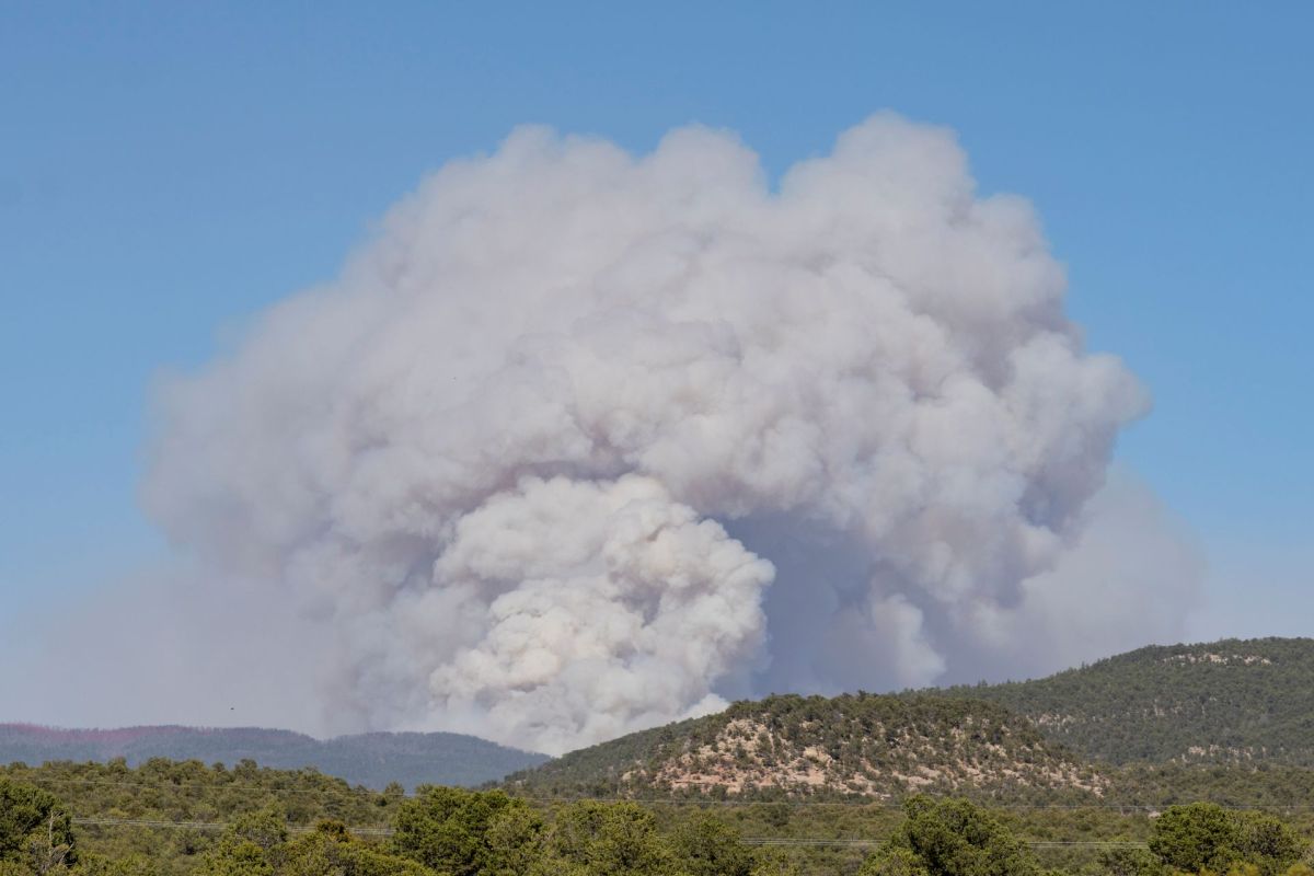 A wildfire in New Mexico.