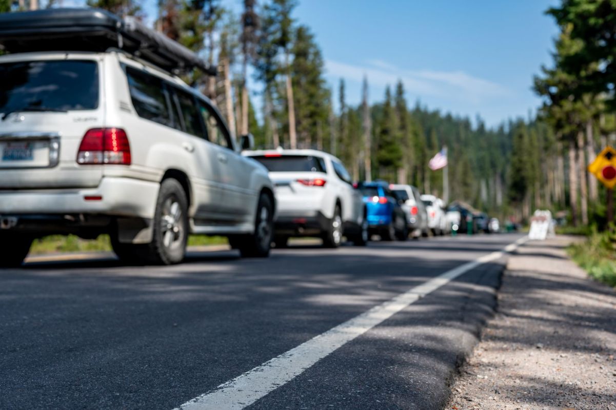 A line of cars waiting on a road with trees and a clear blue sky in the background.