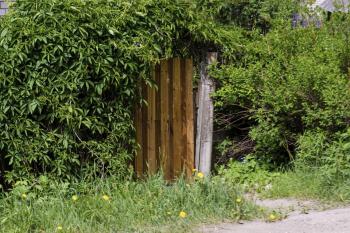 A wooden gate partially hidden by lush green foliage and grass along a dirt path.