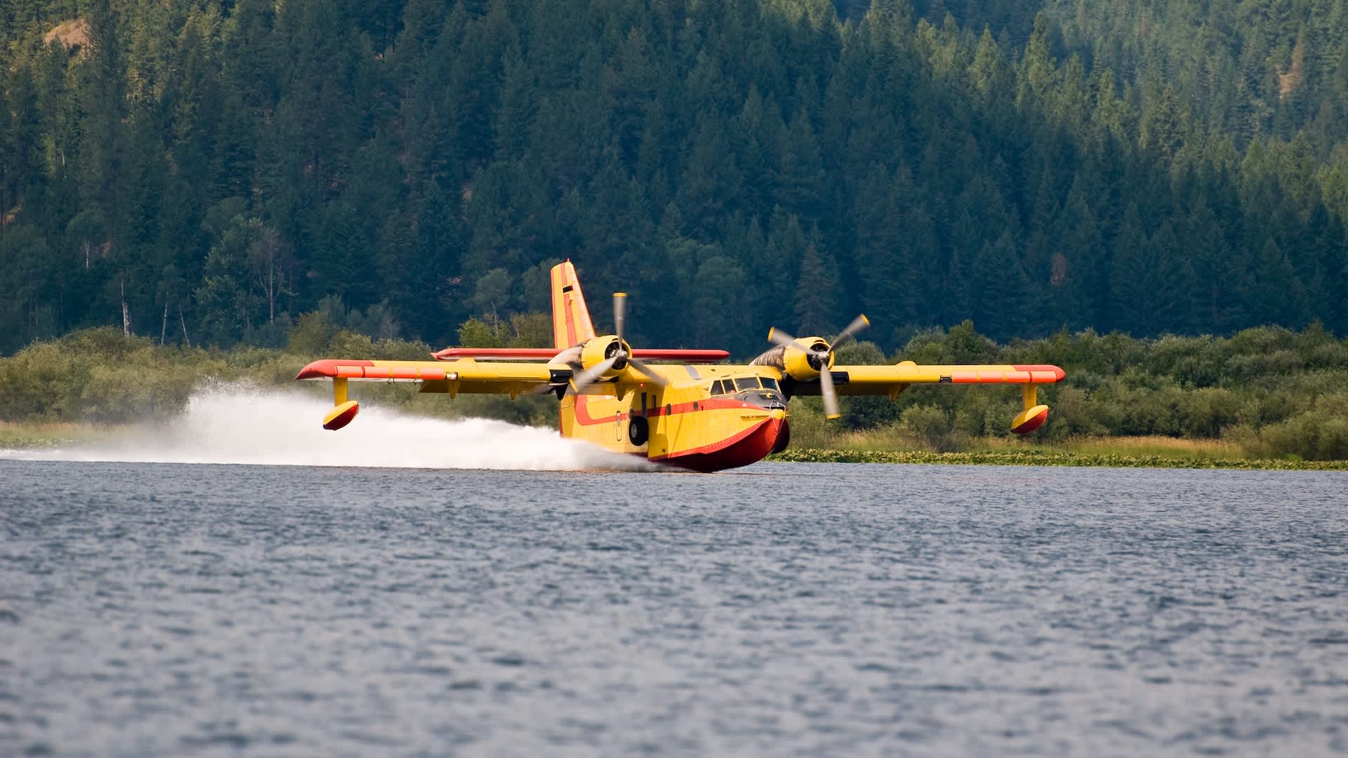 Minnesota firefighting plane struck by gunfire while scooping lake water for wildfire