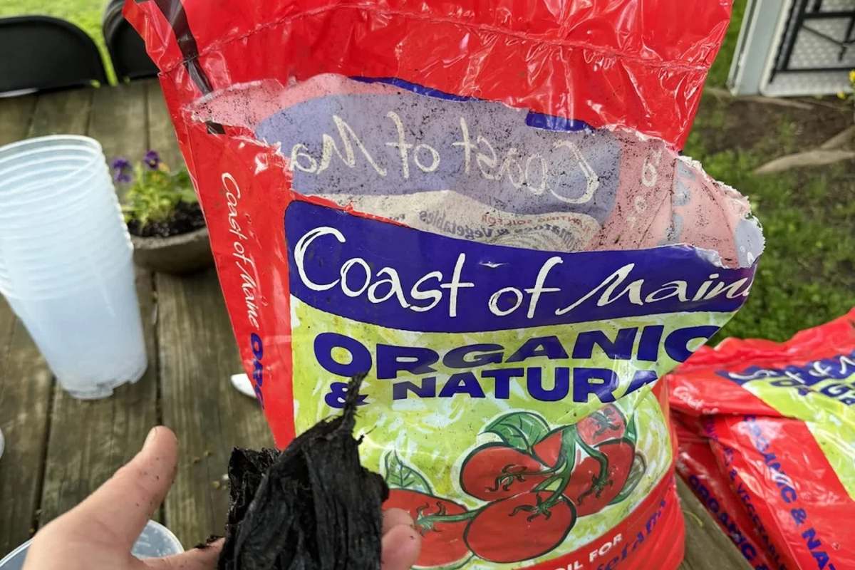 A hand holds a chunk of plastic next to an open bag marked "Coast of Maine Organic & Natural."