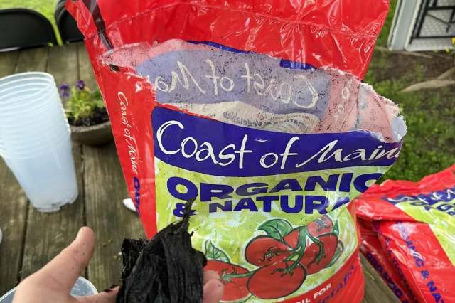 A hand holds a chunk of plastic next to an open bag marked "Coast of Maine Organic & Natural."