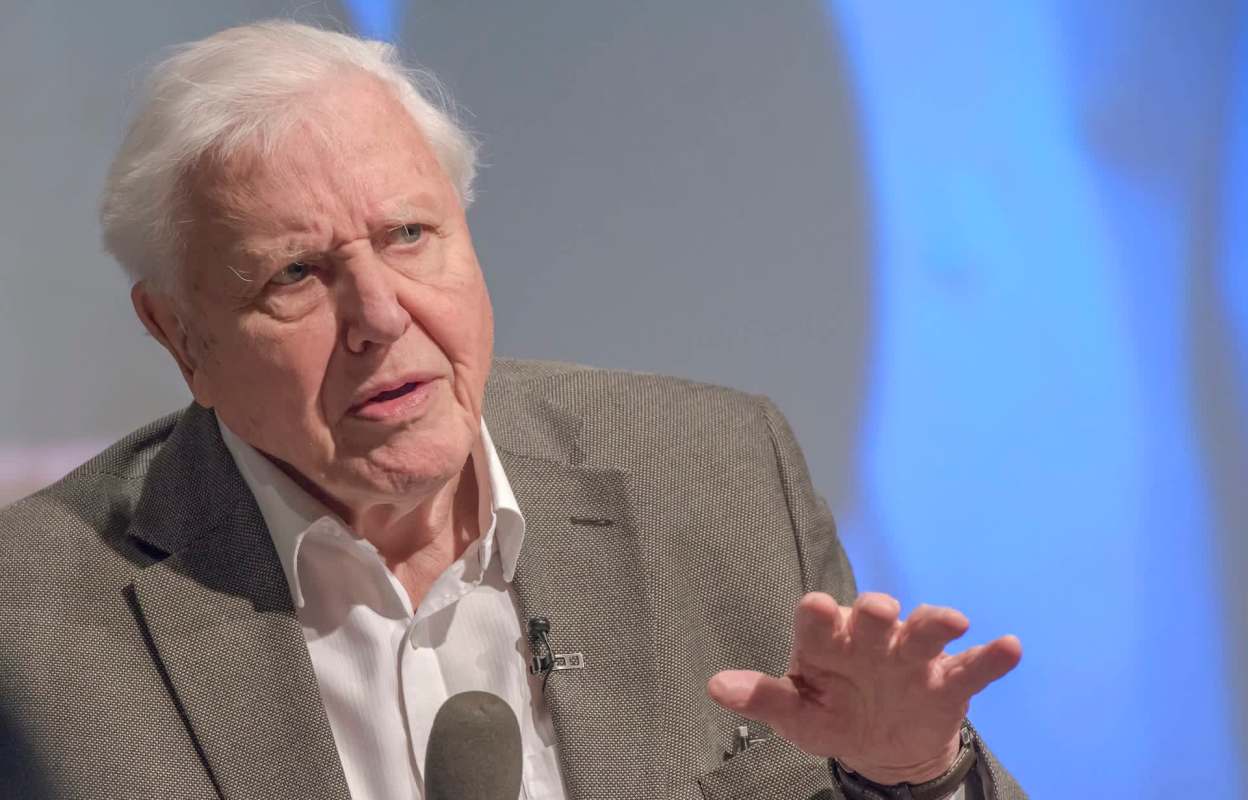 David Attenborough, with white hair, gestures while speaking, wearing a gray blazer over a white shirt.