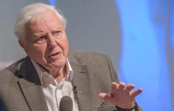David Attenborough, with white hair, gestures while speaking, wearing a gray blazer over a white shirt.