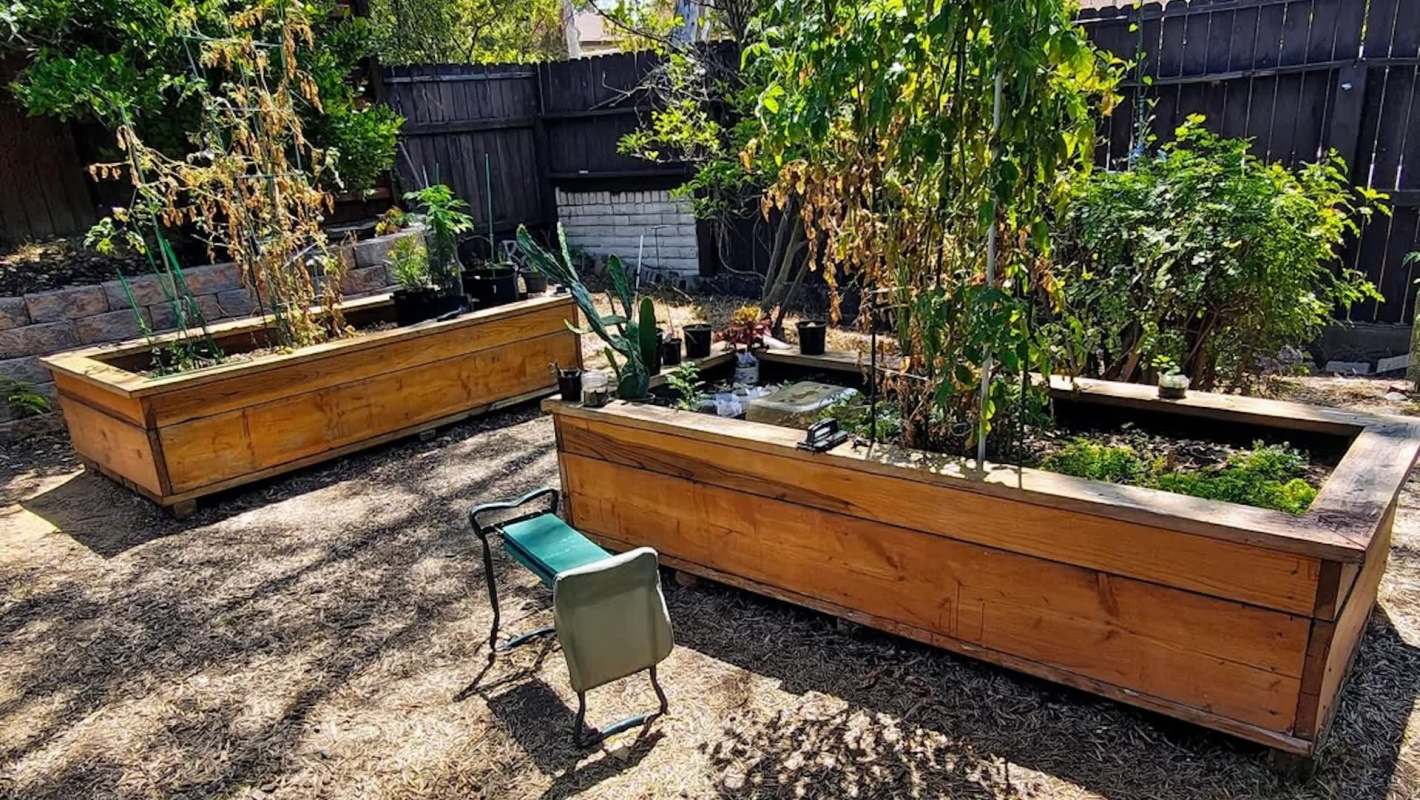 Two wooden raised garden beds filled with various plants and a green folding chair in a sunny backyard.
