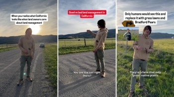 A person explains land management concepts while standing on a gravel road with a sunset backdrop and a distant cow.
