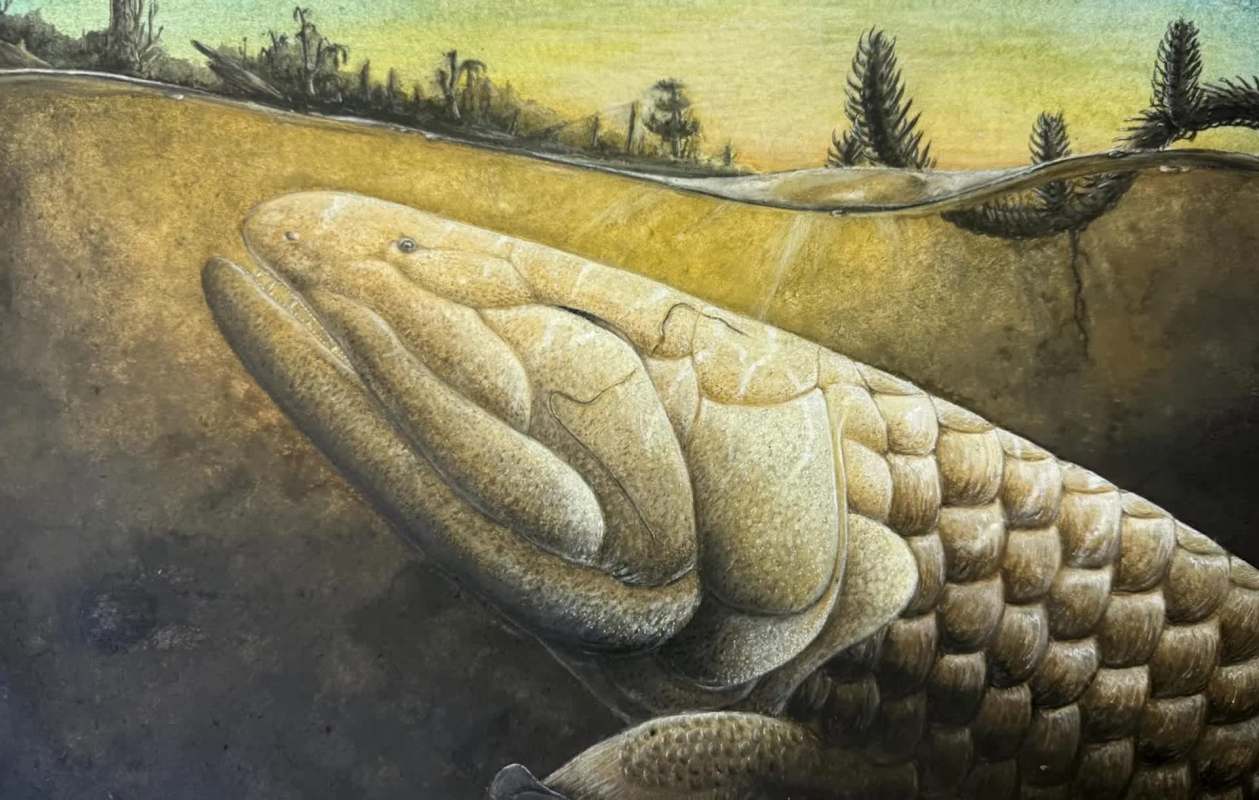 A painting of a prehistoric fish near the surface of a murky, underwater landscape with a faint sunset glow above.
