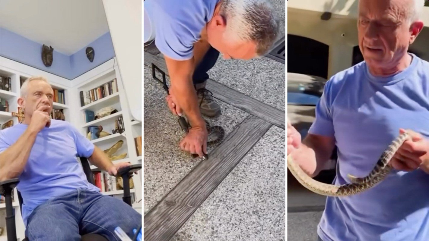 Robert F. Kennedy Jr. carefully handles a snake while another shows concern in a home setting.