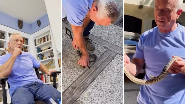 Robert F. Kennedy Jr. carefully handles a snake while another shows concern in a home setting.