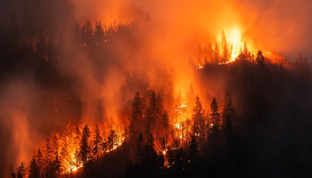 A forest engulfed in flames, casting an orange glow amid smoke and silhouettes of trees.
