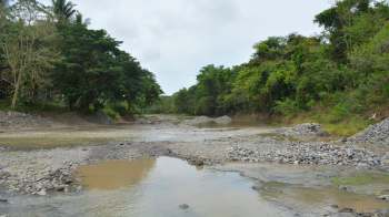 A river filled with small rocks and surrounded by trees.